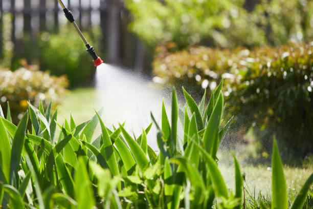 Tamper-Resistant Bait Stations for Rodents in Carmel Valley Village