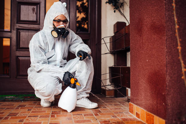 Attic and Crawl Space Rodent Treatment in Carmel Valley Village