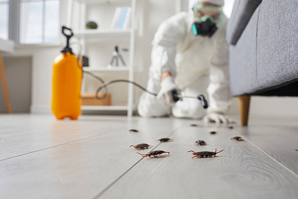 Commercial Rodent Management in Carmel Valley Village